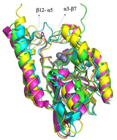 Figures And Data In Gating Interactions Steer Loop Conformational