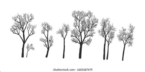 Naked Trees Silhouettes Set Hand Drawn Stock Vector Royalty Free