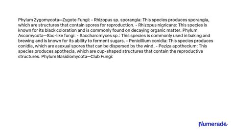 SOLVED: Fungal Diversity: Identify characteristics for each of the ...