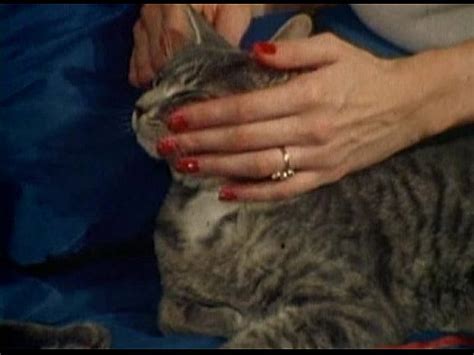 LBO Showgirl Superstars 05 Scene 2 XVIDEOS