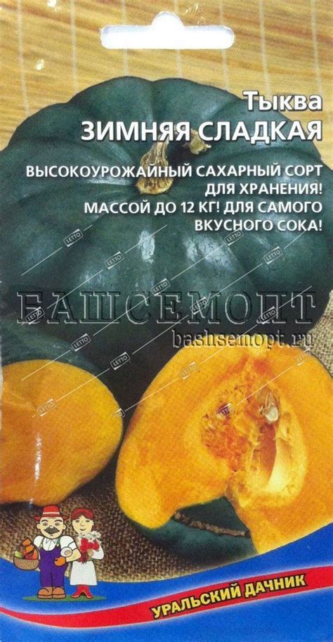 Тыква Китайский Фонарик Описание Сорта Фото Отзывы – Telegraph