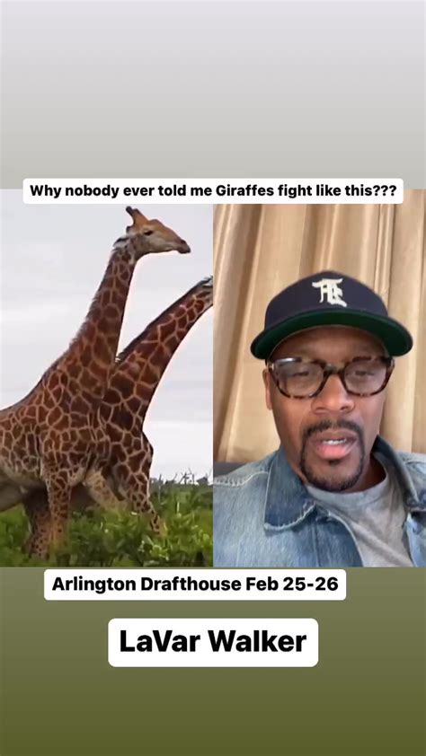 Why Didnt Anybody Ever Tell Me This About Giraffes Call Me Check Me