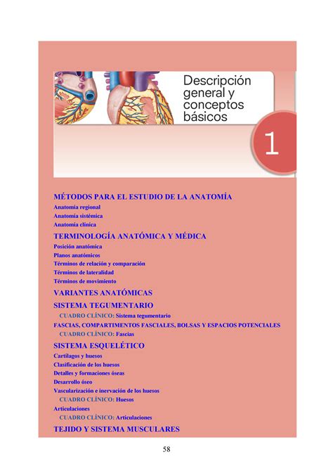 Anatomía Con Orientación Clínica Moore 8va Edición Segundo Año De