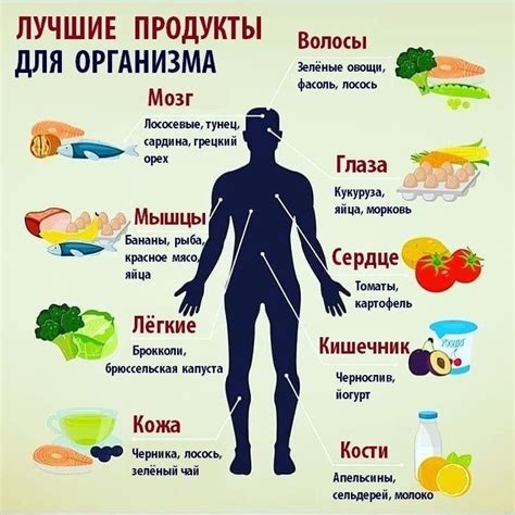 Топ 10 самых лучших продуктов для похудения - фото презентация