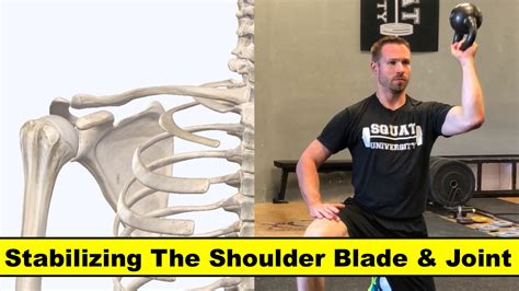 Shoulder Stability Squat University