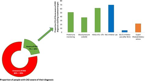 Mind the gap in kidney care: Translating what we know into what we do