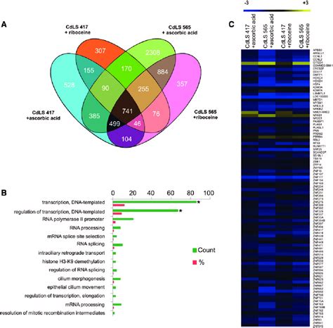 Rna Seq Analysis After Treatment With Antioxidant Drugs A Venn