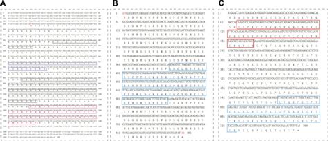 The Identification And Expression Pattern Of The Sex Determination