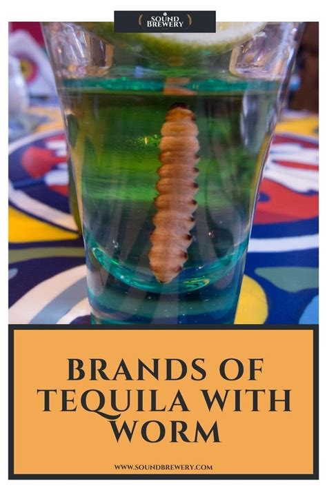 What Is A Tequila Worm How To Eat The Tequila Worm Brands That Put Worms In Mezcal Brands