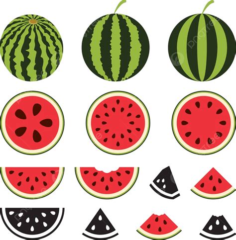 Vector Watermelon Icons Set Vegetable Slice Nature Vector Vegetable