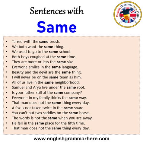 Sentences With Same Same In A Sentence In English Sentences For Same English Grammar Here