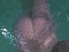 STEAMING NUDE SCENES AZNude