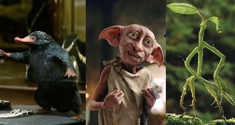Bichinhos Do Harry Potter - Best Harry Potter Pets