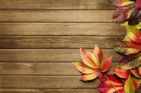 Autumn September Wallpapers Wallpaper Cave