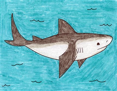 Best How To Draw A Cartoon Shark Easy Of The Decade Check It Out Now