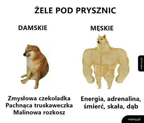 Ten wąs nie jedną pizdą trząsł dziwko Memy pl