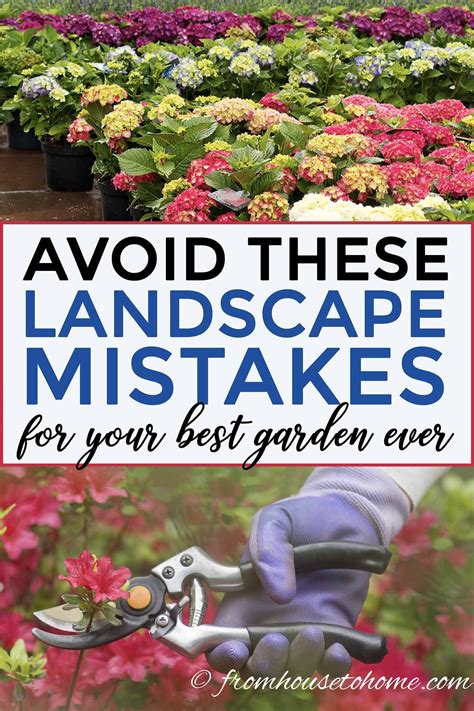Landscaping Mistakes: Avoid These 10 Common Issues For Your Best Garden