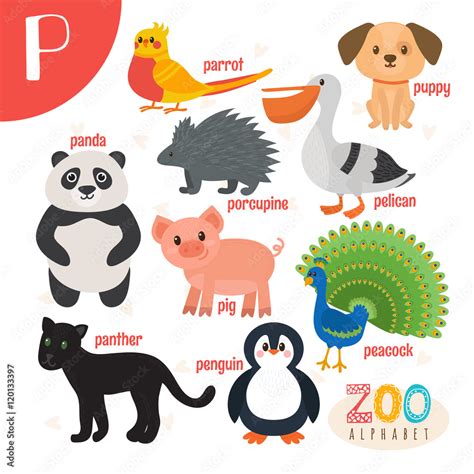 Letter P. Cute animals. Funny cartoon animals in vector. ABC boo Stock ...