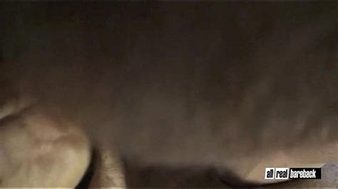 Gay Dutch Videos XVIDEOS