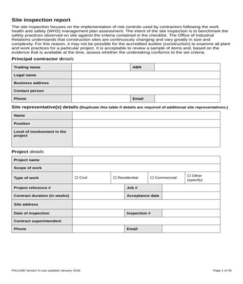 Painting Inspection Report Format