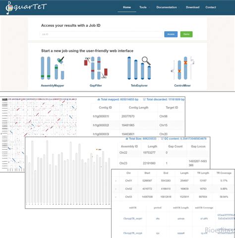生信技能 Quartet：专门用于t2t组装和着丝粒重复识别研究的新工具 陕西佰艾基因信息科技有限公司