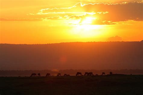 Masai Mara National Reserve, Kenya Sunrise Sunset Times