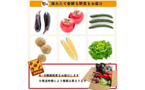 【8月上旬より配送予定】 野菜セット 片品村 尾瀬 新鮮 群馬県片品村 セゾンのふるさと納税