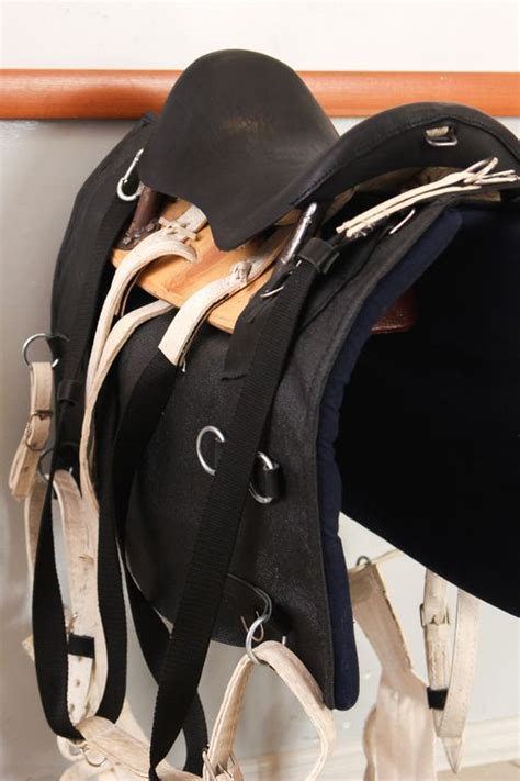 Купить охотничье седло для лошади - интернет-магазин «Полнолуние»