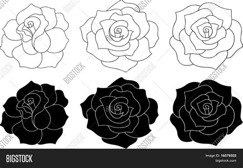 Roses Vector Vector & Photo (Free Trial) | Bigstock