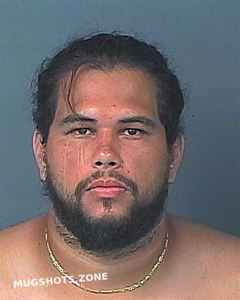 Gonzalez Luis Miguel Hernando County Mugshots Zone