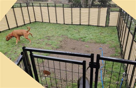 9 DIY Dog Fence Plans: Blueprints for Keeping Your Canine Contained!