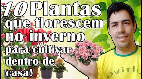 Plantas Que Florescem No Inverno Para Cultivar Dentro De Casa Youtube