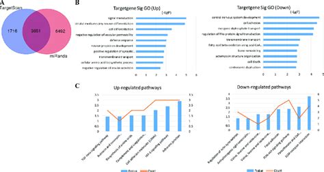 Mirna Target Prediction And Enrichment Analysis Of The Predicted Target