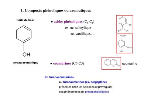 Ppt Compos S Ph Noliques Ou Aromatiques Powerpoint Presentation