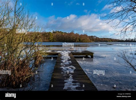 Bolam Lake Country Park Northumberland Uk Stock Photo Alamy