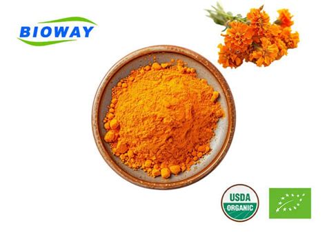 China Marigold Flower Extract Suppliers Manufacturers Factory Wholesale Quotation Bioway