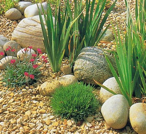 Famous Gravel Front Garden Ideas Uk References