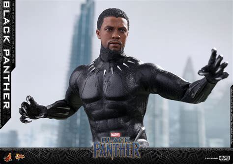 Hot Toys MMS Black Panther Hot Toys Complete Checklist