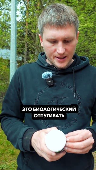 Отпугиватель от змей на участке! #дезинфекция #дезинсекция #змеи - YouTube