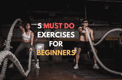 exercises  beginners   gym