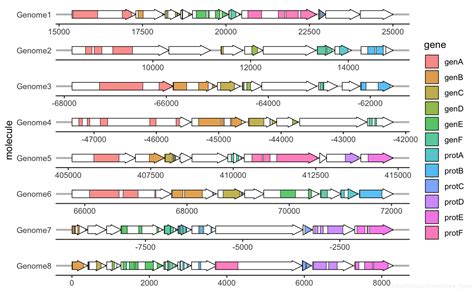 画基因结构图 Gggenes 用法 Csdn博客