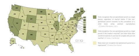 What Does The Law Say About The Parental Rights Of Same Sex Parents