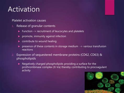 Red cell and platelet storage lesions and their effect in transfusion