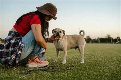 Can Pets Improve Your Relationship?