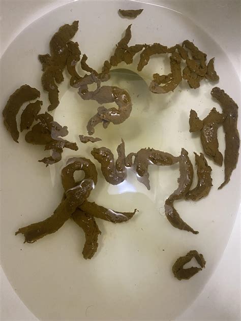 Why is my poop look like this? It’s all floating small pieces : r/poop