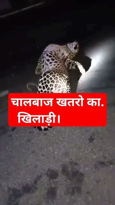 सावधान रहे सतर्क रहें बच के रहना रे बाबा बच के रहना रे Viral