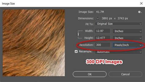 How To Convert Images To 300 Dpi Clipping Photo Experts