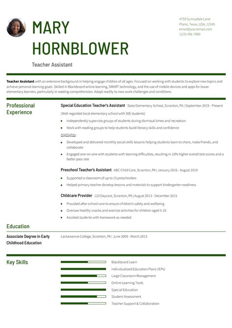 Combination Resume Examples And Templates For 2024