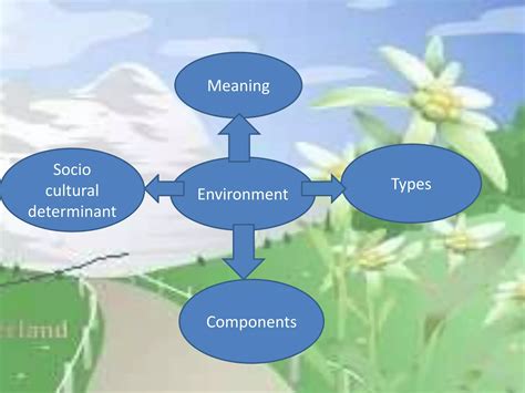 med evs topic imortancetypes  environment pptx