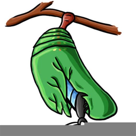 Chrysalis Clipart